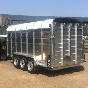 Nugent Box Trailer
