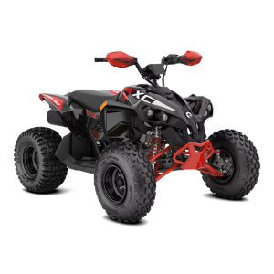 Renegade X XC EFI 110