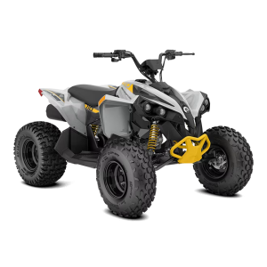 Renegade STD EFI 110
