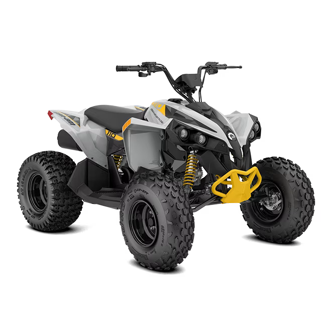 can-am-renegade-std-110efi-catalyst-gray-neo-yellow